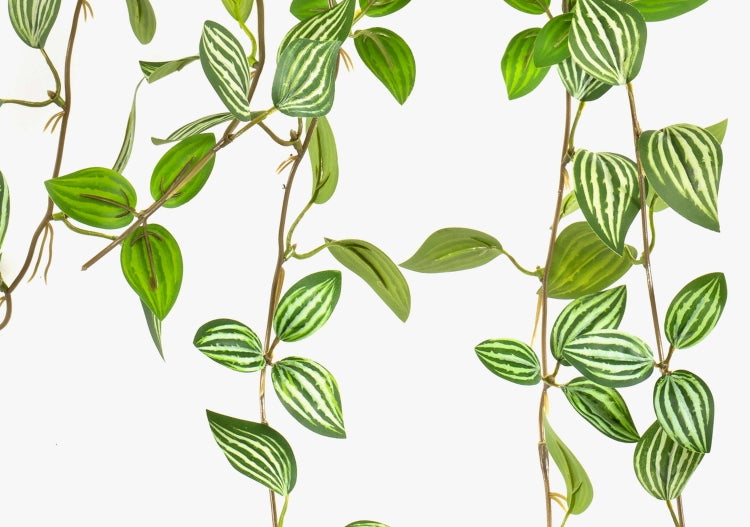 Künstliche Pflanzenwand aus verschiedenen grünen Blattformen auf einem Kunststoffgitter für Sichtschutz und Dekoration.