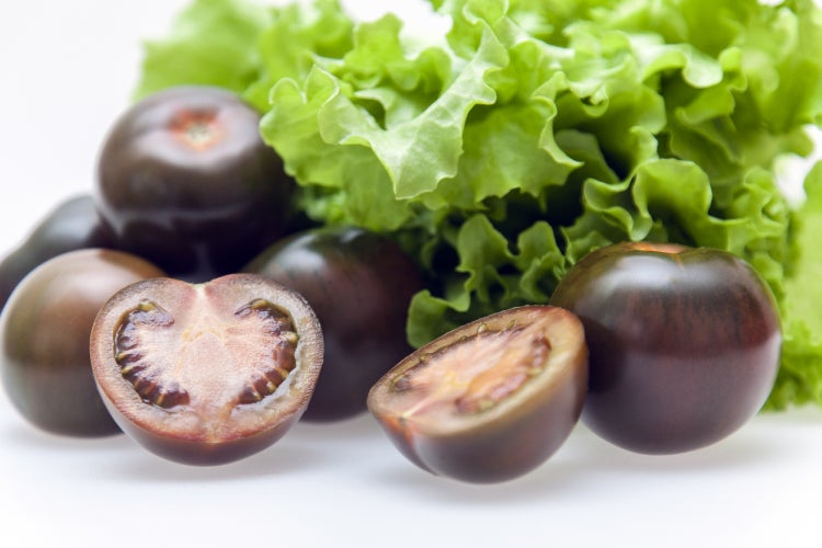 SAFLAX  - BIO - Tomate - Black Cherry - Solanum lycopersicum - 10 Samen - Mit keimfreiem Anzuchtsubstrat