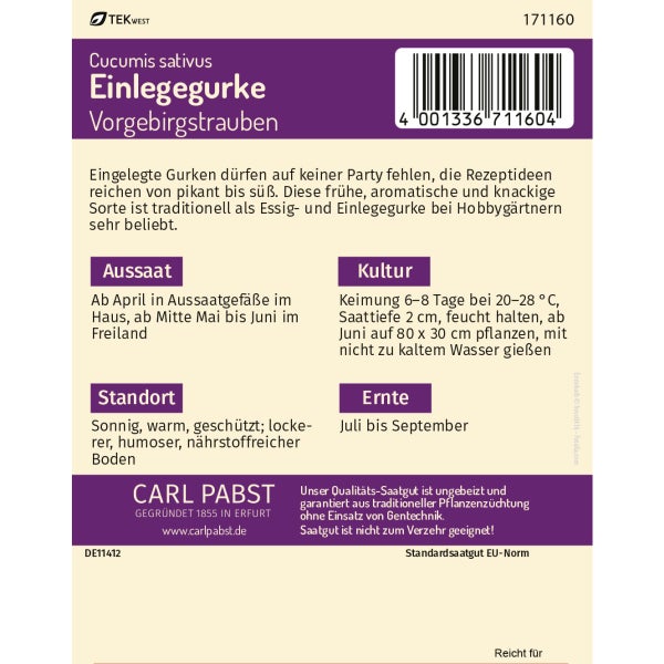 Einlegegurke kurz & oval Vorgebirgstrauben Samen von Pabst Keimkraft