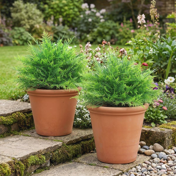 Zwei grüne Farne in Terrakottatöpfen stehen auf bemoosten Steinstufen in einem hellen, blühenden Garten mit Kies und Blumen.
