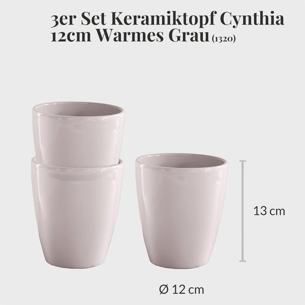 Katzengras mit Übertöpfen im 3er-Set – ø 11 cm Topf – Biologisch, pflegeleicht – Für Zimmer und Balkon – 15 bis 25 cm