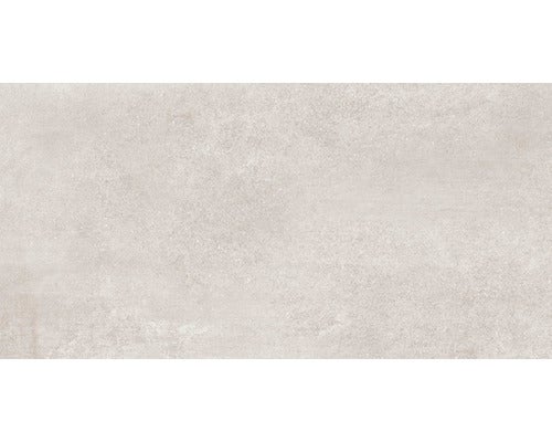 Wand- und Bodenfliese Europa Light Grey 31x62cm