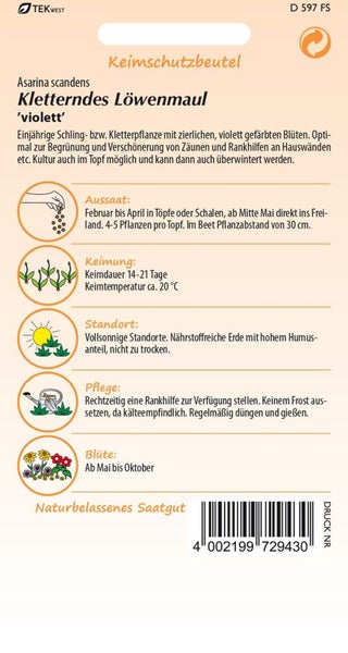 Samenpackung kletterndes Löwenmaul 'Violett' mit Informationen zu Aussaat, Keimung, Standort, Pflege und Blütezeit