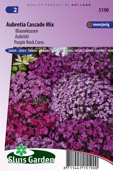 Aubretia Cascade Mix Samenpackung