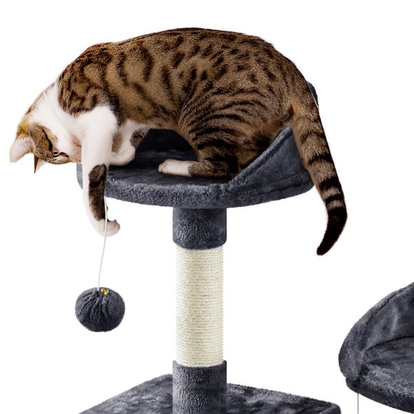 Katze auf einem Kratzbaum mit Spielball