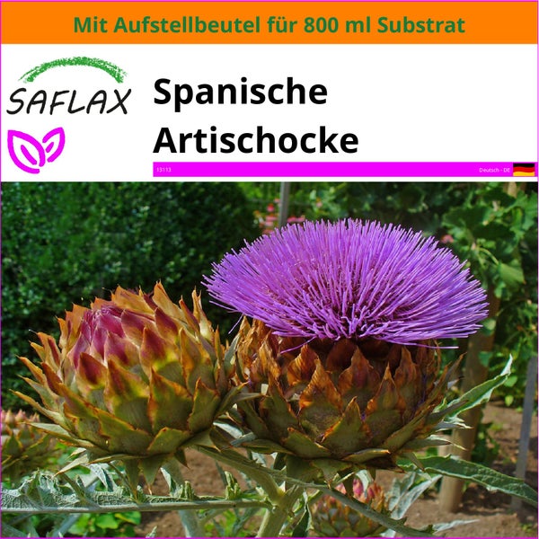 SAFLAX Garden in the bag - Spanische Artischocke - Cynara cardunculus - 50 Samen - Mit Anzuchtsubstrat im praktischen, selbst aufstellenden Beutel