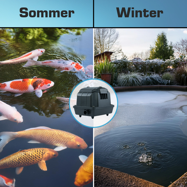 Teichbelüfter zur Sauerstoffversorgung im Sommer und zur Eisfreihaltung im Winter.