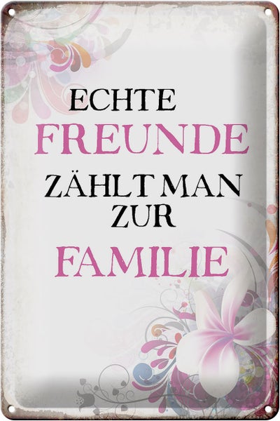 Blechschild Spruch 20x30cm echte Freunde zählt zur Familie