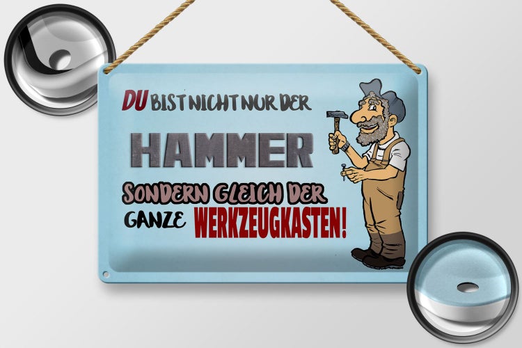 Blechschild Spruch 30x20cm du Bist nicht nur der Hammer