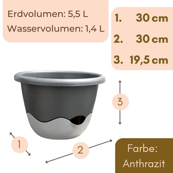 Anthrazitfarbener Blumentopf mit Maßen 30 mal 30 mal 19,5 Zentimeter. Erdvolumen 5,5 Liter, Wasservolumen 1,4 Liter.