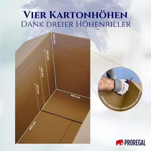 PROREGAL 1x Versandkarton 2-wellig LxBxH 1200 x 600 x 600 mm Mit Höhenriller & Belastbar bis 30 kg Faltkarton Karton Paket für Versand mit DHL
