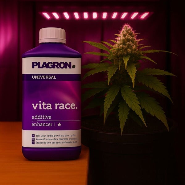 Plagron Vita Race Zusatzstoff mit Pflanze unter Licht