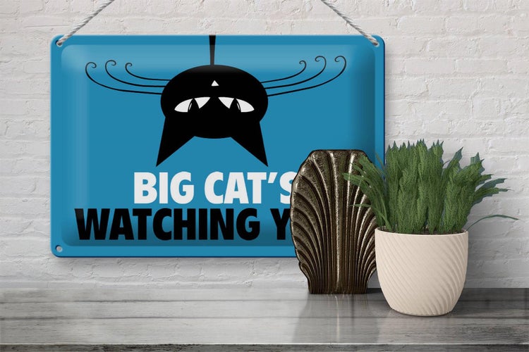 Blechschild Spruch 30x20cm Big cat`s watching you Katze