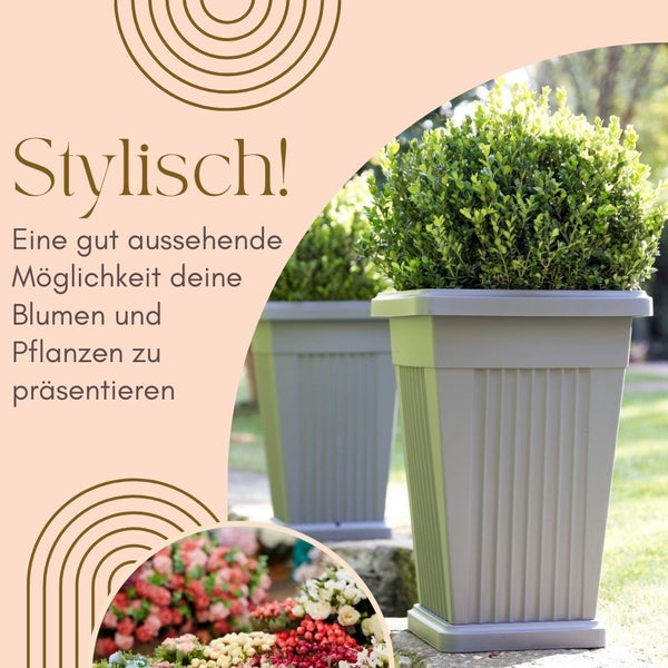 Zwei Pflanzgefäße mit Pflanzen im Freien