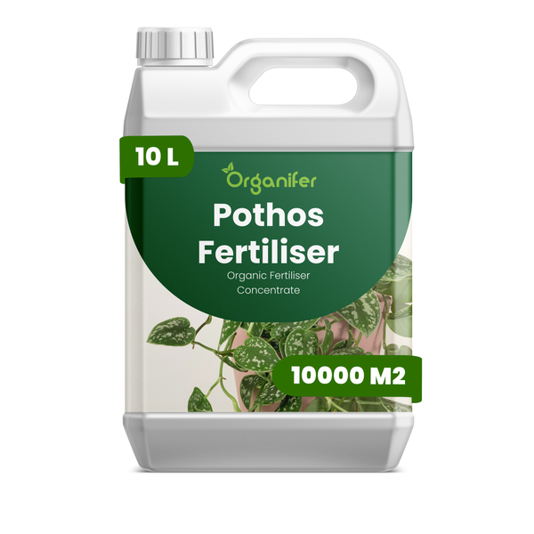 Organifer Pothos-Dünger, organisches Düngerkonzentrat im 10 Liter Kanister, ausreichend für 10000 Quadratmeter.