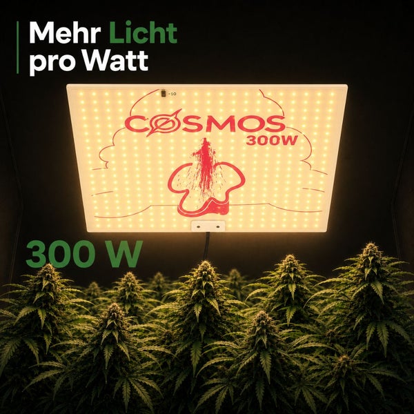 COSMOS 300 Watt LED-Pflanzenlampe über grünen Pflanzen. Text Mehr Licht pro Watt und COSMOS Logo.