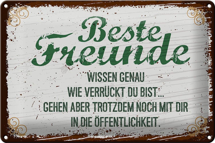 Blechschild Spruch 30x20cm Beste Freunde wissen grün braun