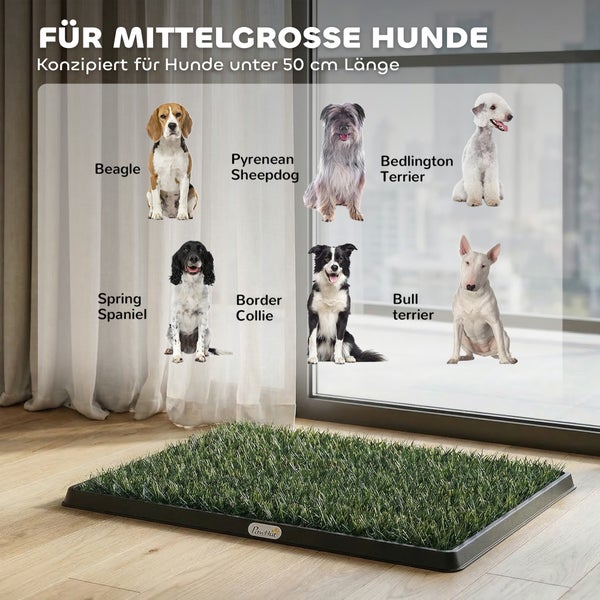 Hundetoilette mit Kunstrasen für mittelgroße Hunde unter 50 Zentimeter Länge. Mit Beispielen wie Beagle und Border Collie. PawHut Logo.
