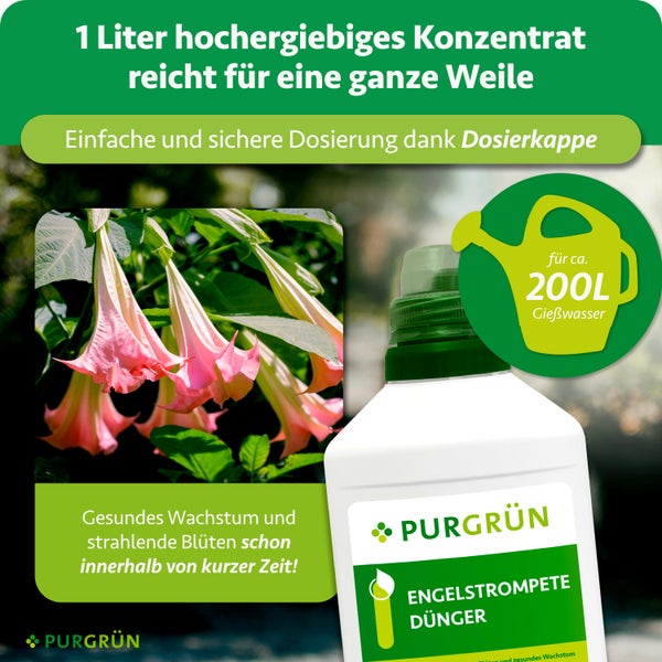 Purgrün Engelstrompete Dünger Konzentrat 1 Liter Flasche mit Dosierkappe, ausreichend für circa 200 Liter Gießwasser, Purgrün Logo.