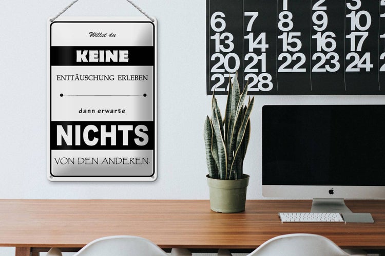 Blechschild Spruch 20x30cm Erwarte nichts von Anderen