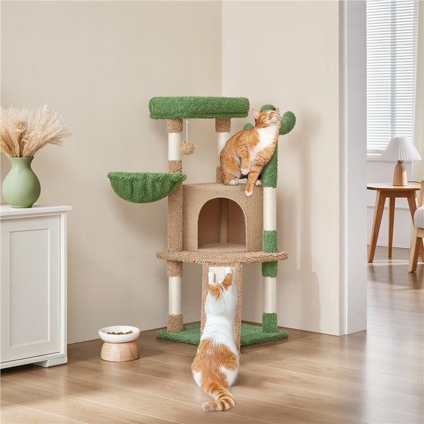 Katzenkratzbaum mit mehreren Ebenen, Höhle und Spielzeug für Katzen in einem hellen Raum.