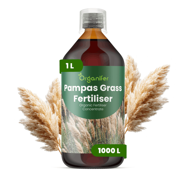 Organifer Pampasgras-Dünger, 1 Liter Flasche organisches Düngerkonzentrat mit Messbecher.