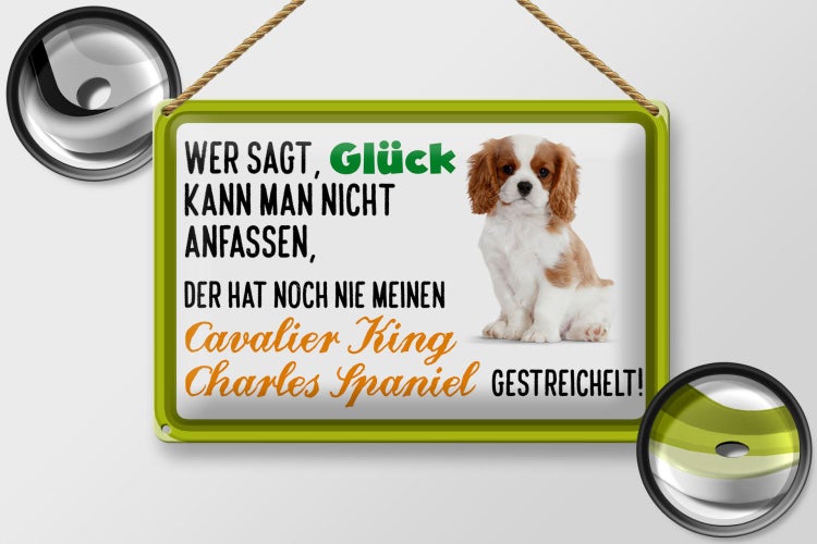 Blechschild Spruch 30x20cm Cavalier King Charles Spaniel