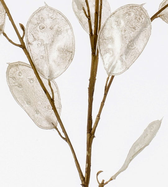 Dekozweig Lunaria Zweig BUELNA, Creme, 105cm - Kunstzweig/Silberblatt künstlich