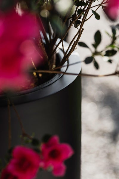 Detailaufnahme eines anthrazitfarbenen Pflanzgefäßes mit einer Pflanze mit pinken Blüten im Freien.