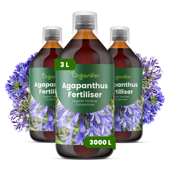 Drei Flaschen Organifer Agapanthus-Dünger, organisches Düngerkonzentrat, insgesamt 3 Liter.