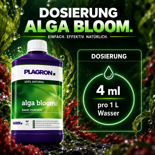 Plagron Alga Bloom Pflanzennährstoff Flasche mit Dosieranleitung 4 Milliliter auf 1 Liter Wasser