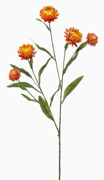 Künstliche Pflanze mit feinen, grünen, gefiederten Blättern in der Nahaufnahme.