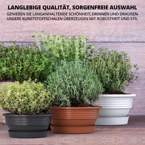 Plastard Pflanzschale Ø 25 x 10 cm mit Untersetzer – wetterfest, frostbeständig, ideal für Garten, Balkon & Küche