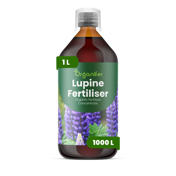 Organifer Lupinen-Dünger, organisches Düngerkonzentrat, 1 Liter Flasche mit Messkappe.