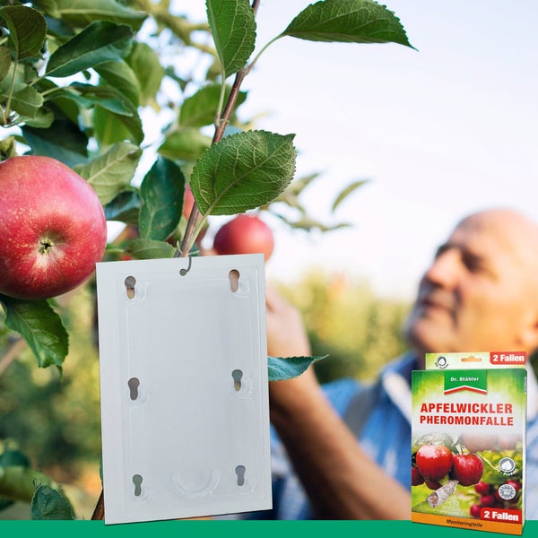 Apfelwickler Pheromonfalle – Monitoringfalle zur Befallsüberwachung & Bekämpfung – Für Apfelbäume & Obstgärten – Ohne Insektizide