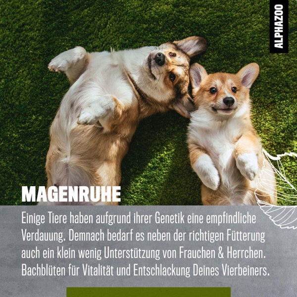 ALPHAZOO Magenruhe Bachblüten 15g für Hunde und Katzen I Magen Darm Globuli