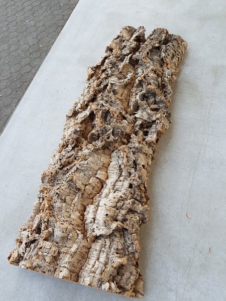 Naturkork-Rinde für Terrarien oder Dekoration, grobe Textur.
