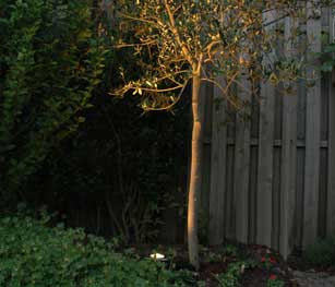 Gartenstrahler beleuchtet einen Baum im Garten bei Nacht vor einem Holzzaun.