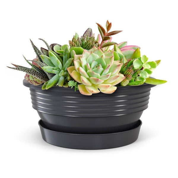 Plastard Pflanzschale Ø 32 x 12,5 cm mit Untersetzer – wetterfest, frostbeständig, ideal für Garten, Balkon & Küche