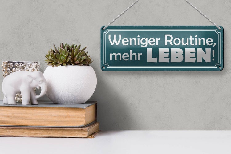 Blechschild Spruch 27x10cm weniger Routine mehr Leben Dekoration