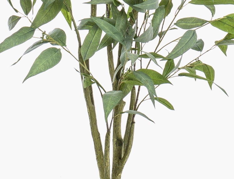 Basis einer Kunstpflanze in einem schwarzen Kunststofftopf mit Erde.