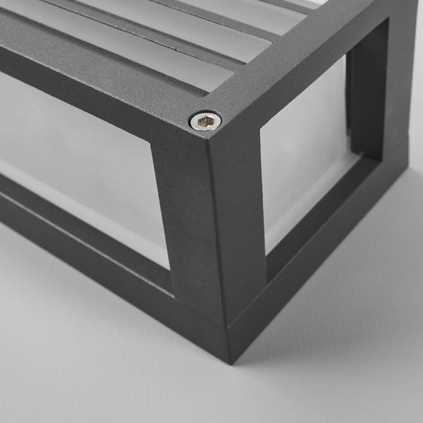 Olivenbaum mit Blättern und Stamm