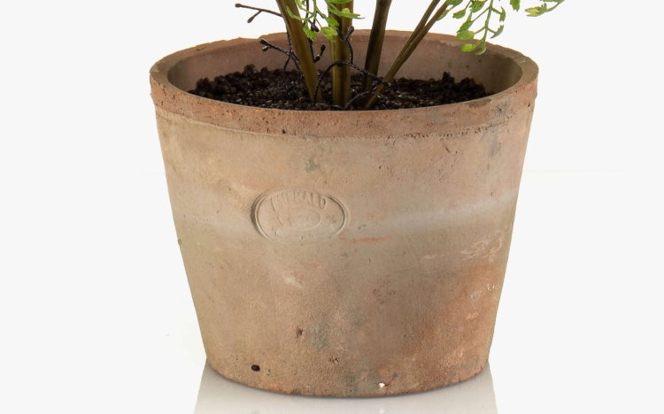Terrakotta-Blumentopf mit Emerald Logo, Pflanze und dunklem Substrat in rustikaler Optik.