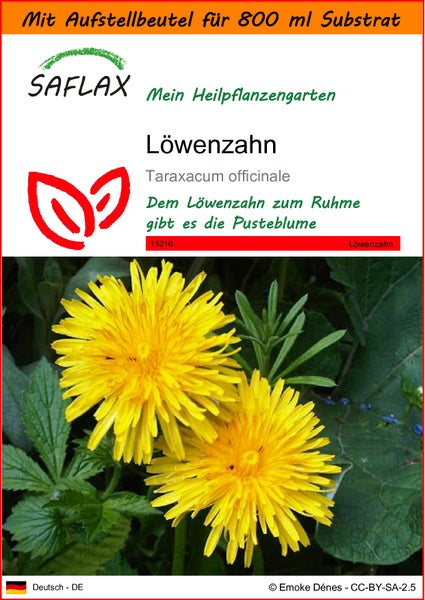 SAFLAX Garden in the bag - Löwenzahn - Taraxacum officinale - 200 Samen - Mit Anzuchtsubstrat im praktischen, selbst aufstellenden Beutel