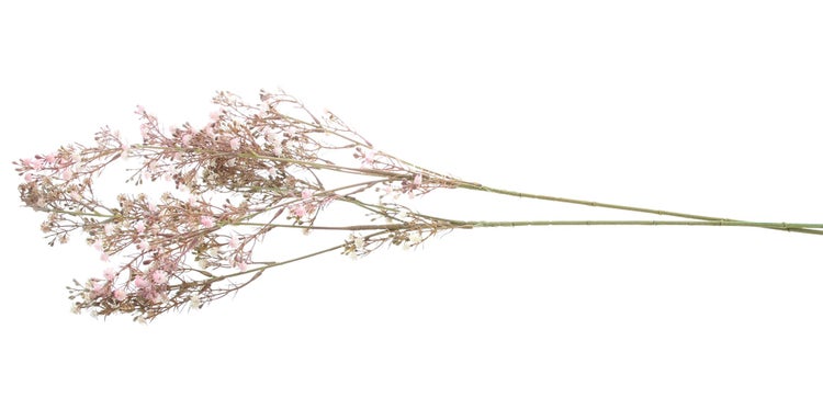FRANK FLECHTWAREN | Kunstpflanze Schleierkraut, 2er Set, KUNSTSTOFF, L: 83 cm