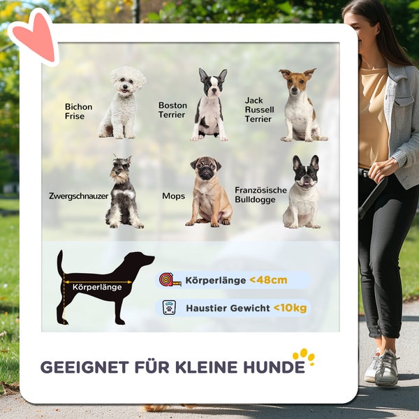 PawHut Hundewagen, 3 in 1 Hundebuggy, Autositz, Transporttasche, Katzenbuggy mit Kissen bis 15 kg, faltbarer Katzenwagen für kleine Hunde mit Bremsen, Netzfenster, Sicherheitsleinen, Hellgrau