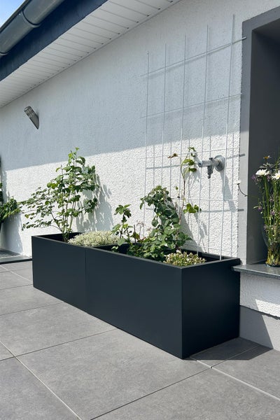 Zwei große anthrazitfarbene rechteckige Pflanzkästen mit grünen Pflanzen auf einer Terrasse mit weißem Rankgitter an der Hauswand.