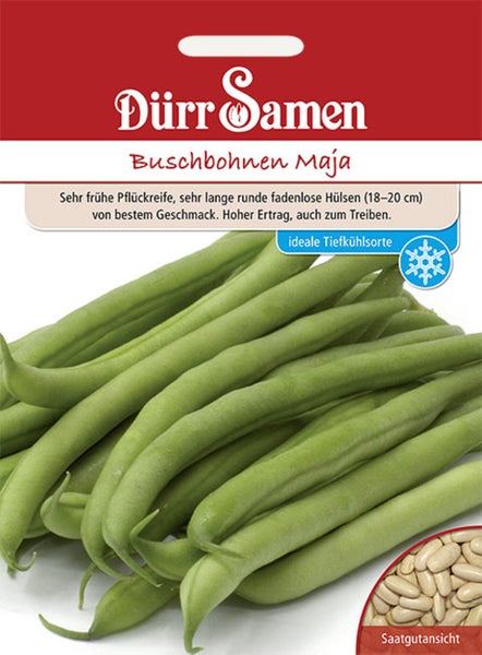 Dürr Samen Logo. Samentüte für Buschbohnen Maja mit Abbildung von Bohnenhülsen, Detailansicht der Samen und Symbol für Tiefkühleignung.