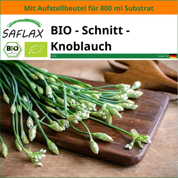 SAFLAX Garden in the bag - BIO - Schnitt - Knoblauch - Allium tuberosum - 100 Samen - Mit Anzuchtsubstrat im praktischen, selbst aufstellenden Beutel