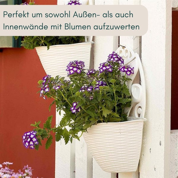 Wandblumentöpfe mit lila Blüten zur Dekoration von Innen- und Außenwänden